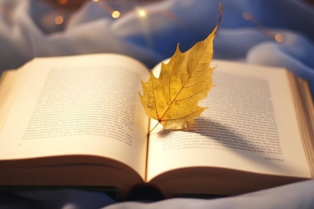 天津师范大学在海南最低录取分数线是多少