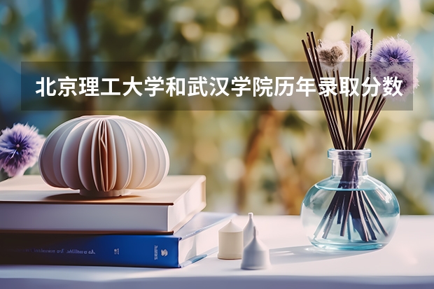 北京理工大学和武汉学院历年录取分数线对比