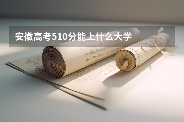 安徽高考510分能上什么大学