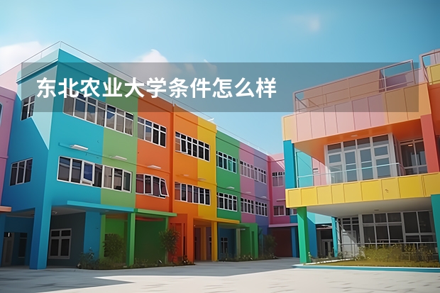东北农业大学条件怎么样