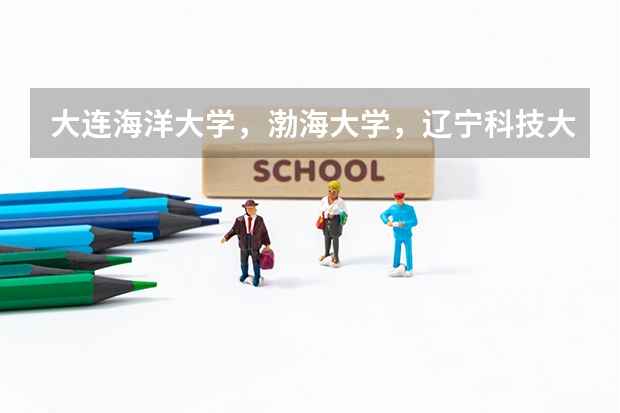 大连海洋大学，渤海大学，辽宁科技大学，川北医学院，广西科技大学，河北农业大学，黑龙江八一农垦大学 河北电网录取院校排名