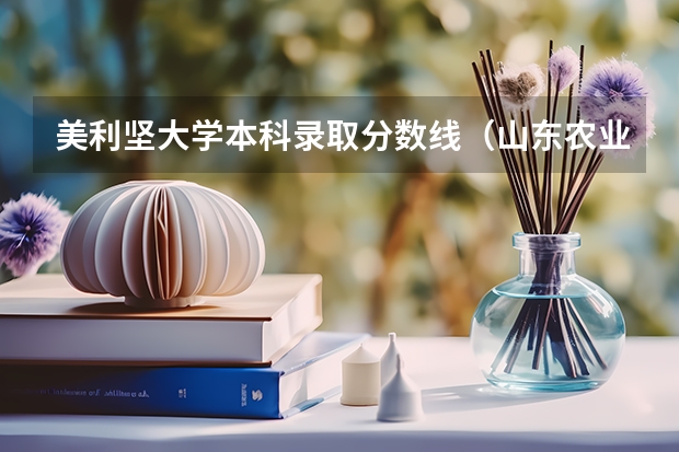 美利坚大学本科录取分数线（山东农业大学中外合作办学分数线）