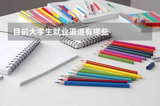 目前大学生就业渠道有哪些