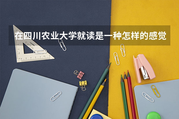 在四川农业大学就读是一种怎样的感觉？（四川农业大学成教成人高考2023年招生报名官方指南）