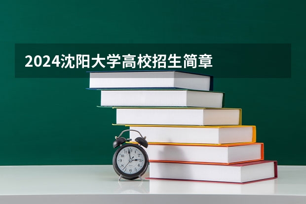 2024沈阳大学高校招生简章
