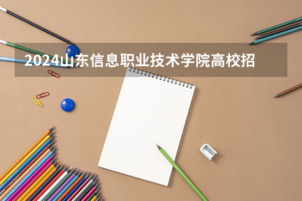 2024山东信息职业技术学院高校招生简章
