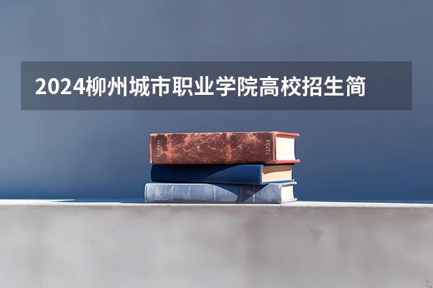 2024柳州城市职业学院高校招生简章
