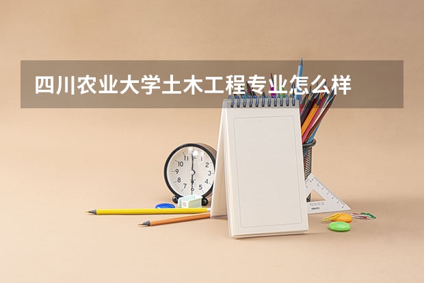 四川农业大学土木工程专业怎么样