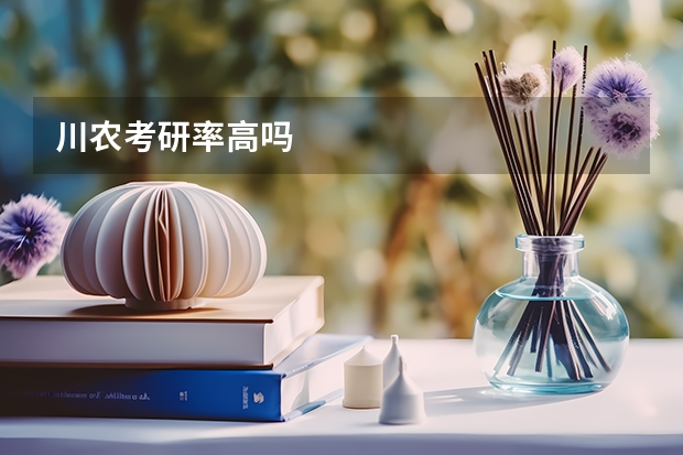 川农考研率高吗