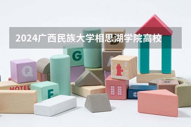 2024广西民族大学相思湖学院高校招生简章