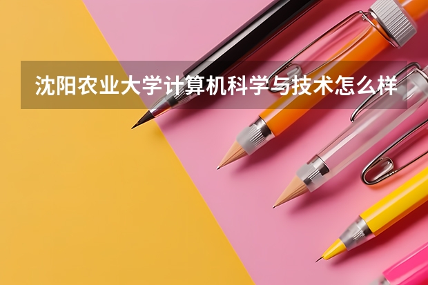 沈阳农业大学计算机科学与技术怎么样