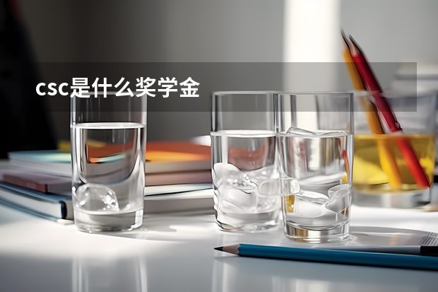 csc是什么奖学金