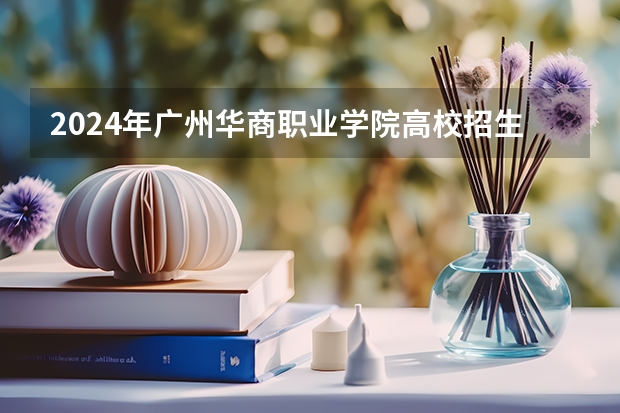 2024年广州华商职业学院高校招生发布简章