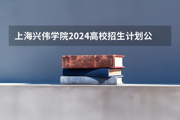 上海兴伟学院2024高校招生计划公布时间