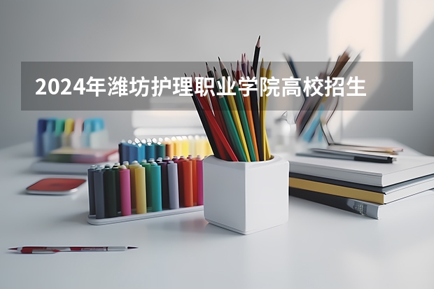 2024年潍坊护理职业学院高校招生发布简章