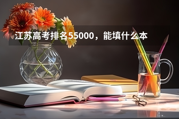 江苏高考排名55000，能填什么本二院校