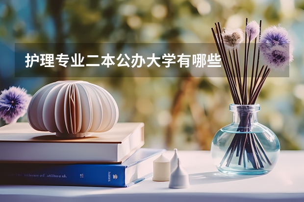 护理专业二本公办大学有哪些