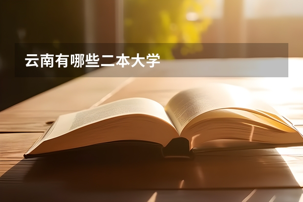云南有哪些二本大学