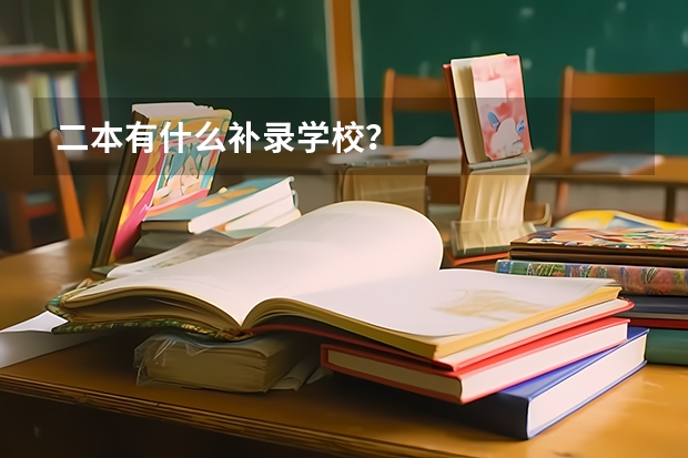 二本有什么补录学校？