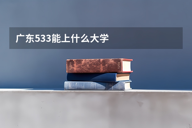 广东533能上什么大学