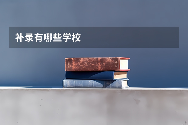补录有哪些学校