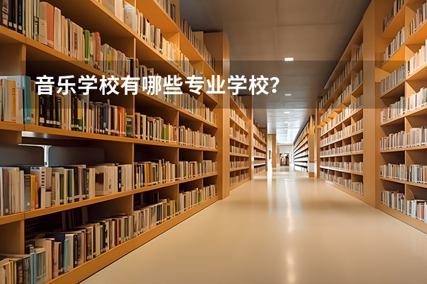 音乐学校有哪些专业学校？