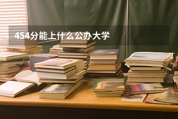 454分能上什么公办大学