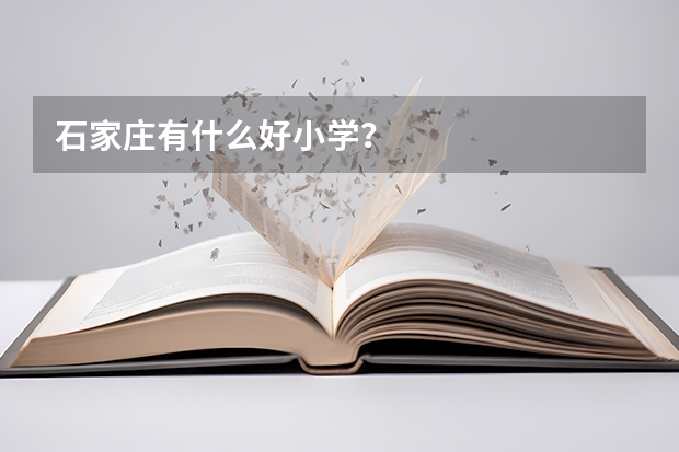 石家庄有什么好小学？