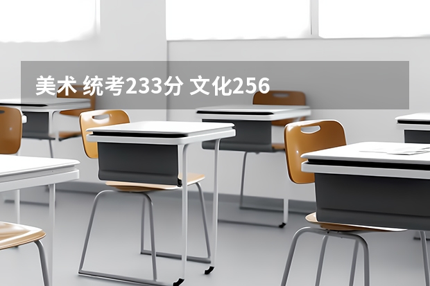 美术 统考233分 文化256 在南京能上什么学校