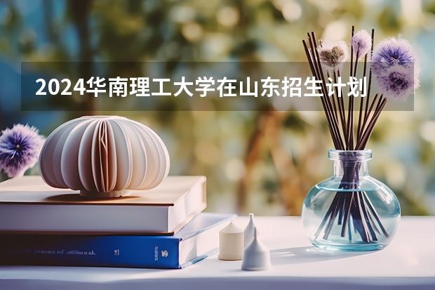 2024华南理工大学在山东招生计划多少人