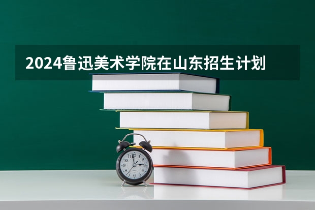 2024鲁迅美术学院在山东招生计划多少人