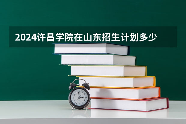 2024许昌学院在山东招生计划多少人