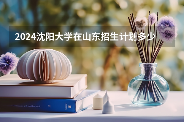 2024沈阳大学在山东招生计划多少人