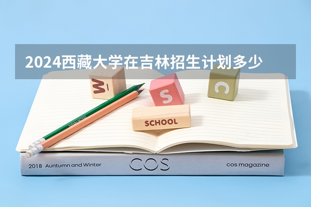 2024西藏大学在吉林招生计划多少人