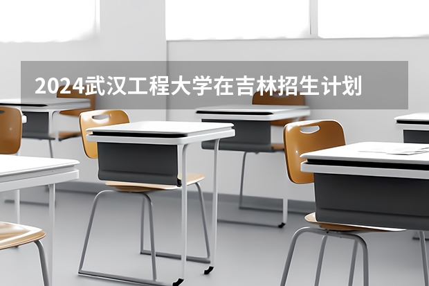 2024武汉工程大学在吉林招生计划多少人