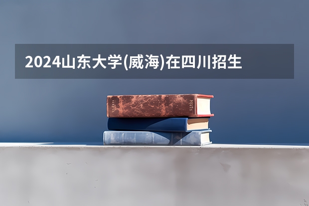 2024山东大学(威海)在四川招生计划多少人