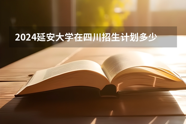 2024延安大学在四川招生计划多少人