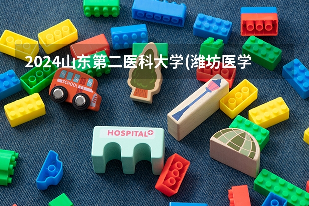 2024山东第二医科大学(潍坊医学院)在四川招生计划多少人