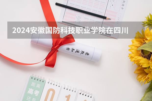 2024安徽国防科技职业学院在四川招生计划多少人