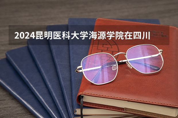 2024昆明医科大学海源学院在四川招生计划多少人