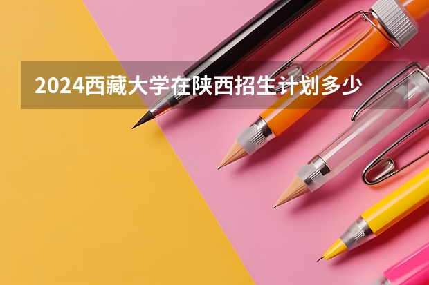 2024西藏大学在陕西招生计划多少人