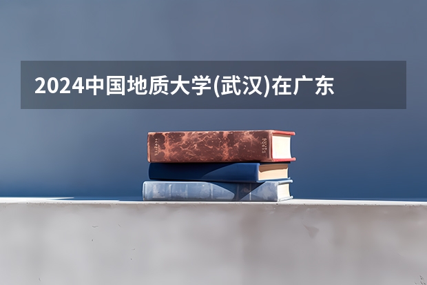 2024中国地质大学(武汉)在广东招生计划多少人