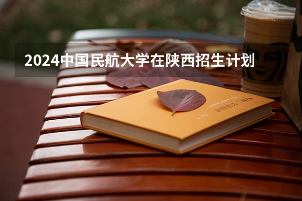 2024中国民航大学在陕西招生计划多少人