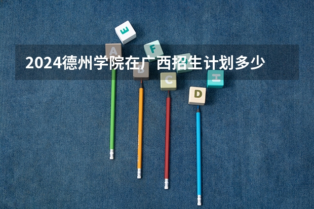 2024德州学院在广西招生计划多少人