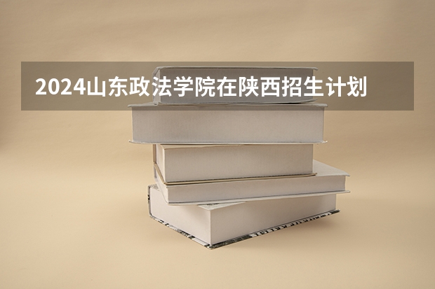 2024山东政法学院在陕西招生计划多少人