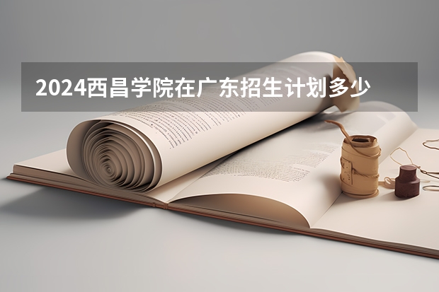 2024西昌学院在广东招生计划多少人