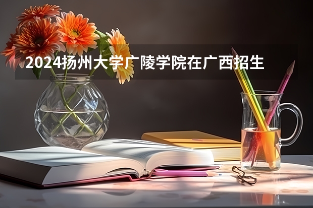 2024扬州大学广陵学院在广西招生计划多少人