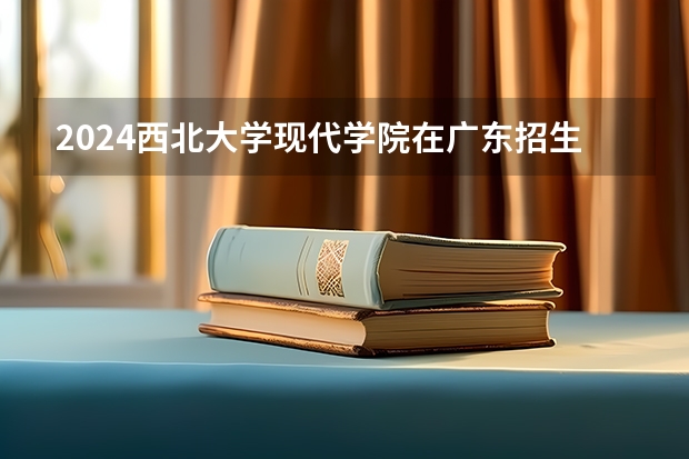 2024西北大学现代学院在广东招生计划多少人