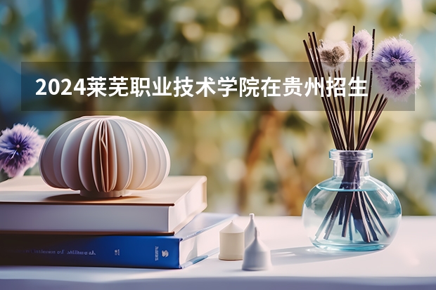 2024莱芜职业技术学院在贵州招生计划多少人