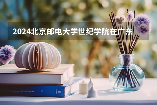 2024北京邮电大学世纪学院在广东招生计划多少人